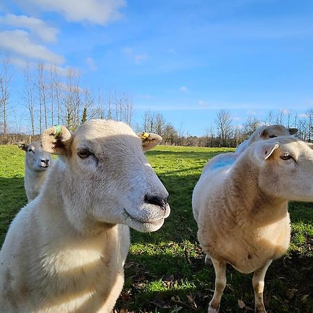 Sleeps 12, Stunning Dog Friendly Lodge, Rural Village Nether Stowey Eksteriør billede
